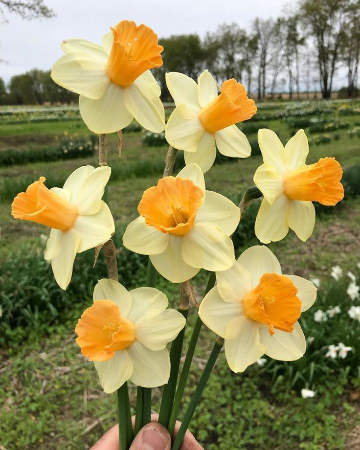 Whisper of Meadow Winds Bouquet